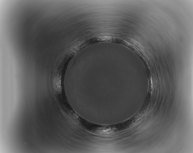X0000096410267200801311358