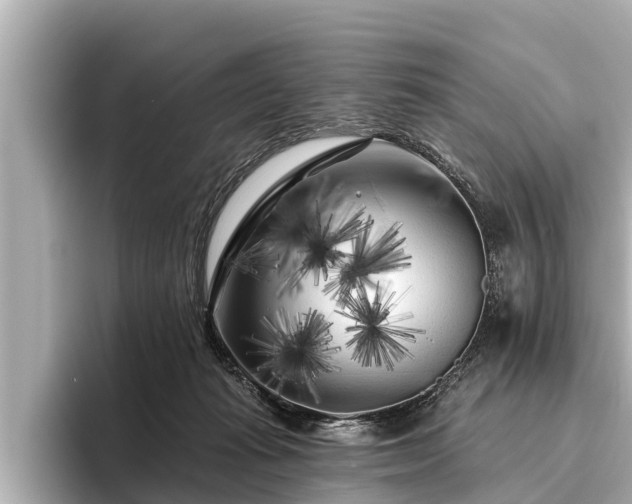 X0000096410269200801311358