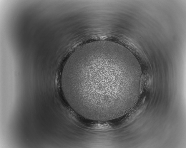 X0000096410270200801311358