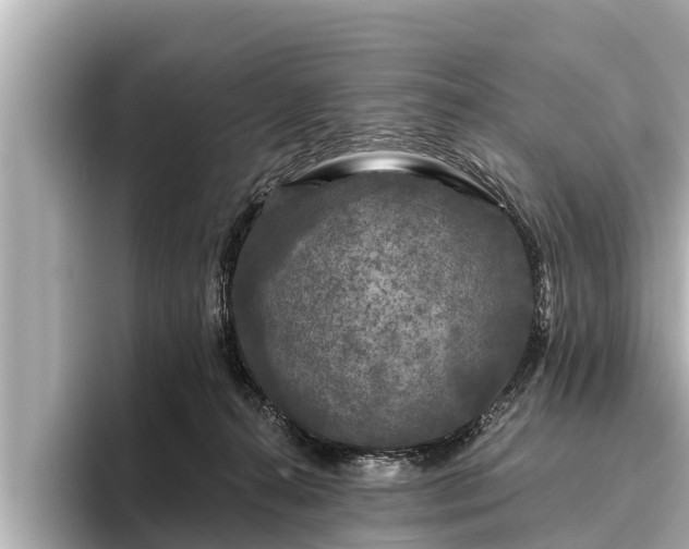 X0000096410272200801311358