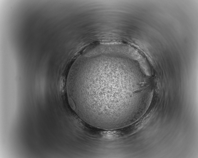 X0000096410273200801311358