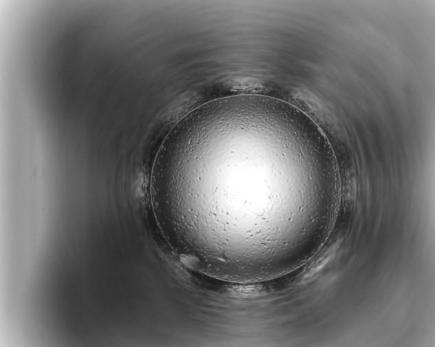 X0000096410281200801311358