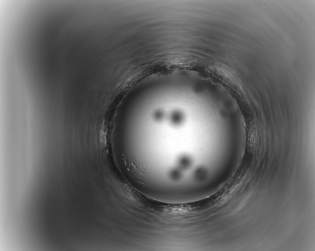 X0000096410282200801311358