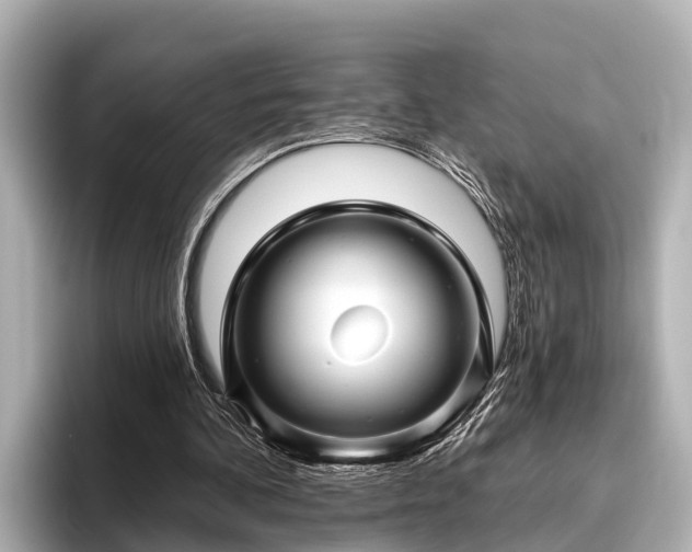 X0000096410292200801311358
