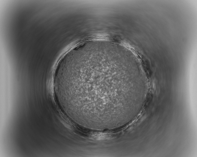 X0000096410293200801311358