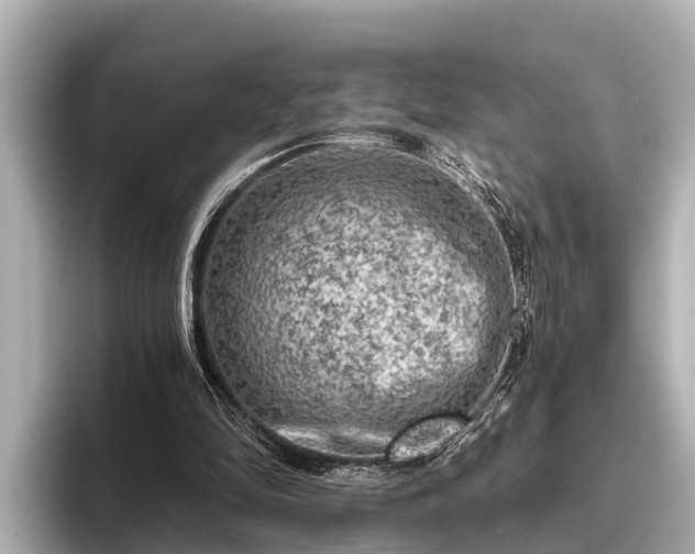X0000096410294200801311358
