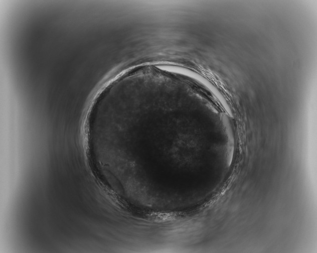 X0000096410295200801311358