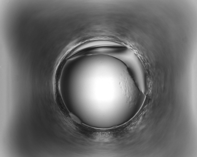 X0000096410296200801311358