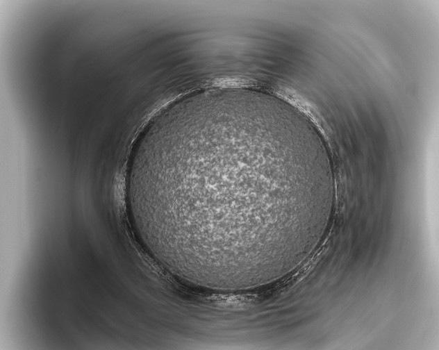 X0000096410297200801311358