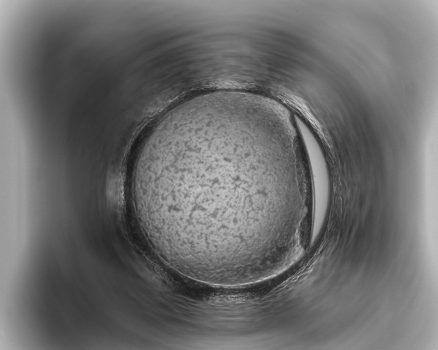 X0000096410299200801311358
