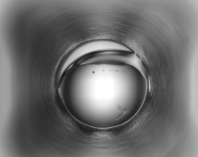 X0000096410300200801311358