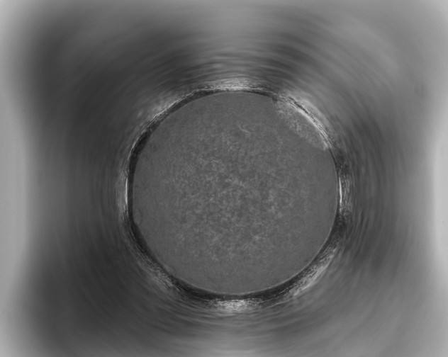 X0000096410301200801311358
