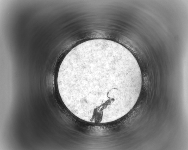 X0000096410302200801311358