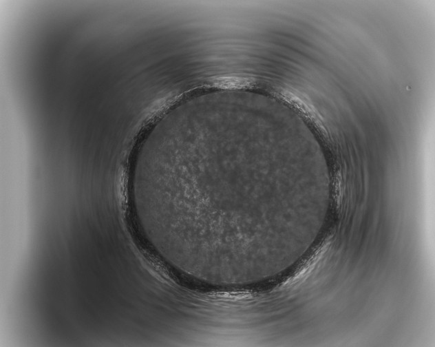 X0000096410303200801311358