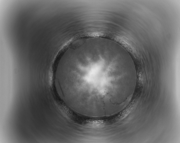 X0000096410304200801311358