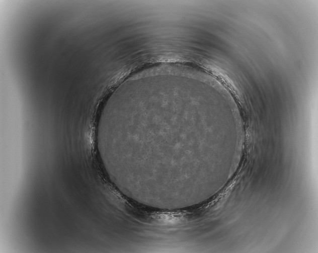 X0000096410305200801311358