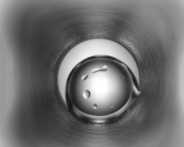 X0000096410308200801311357