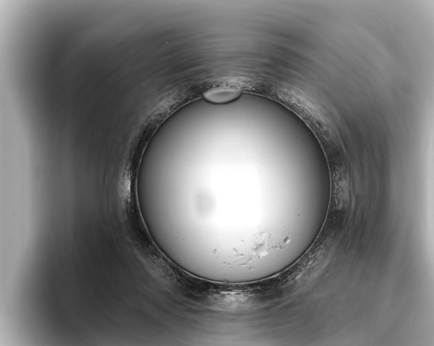 X0000096410310200801311357