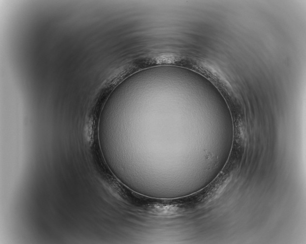 X0000096410311200801311357
