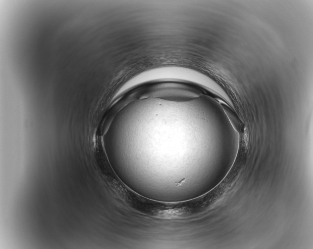 X0000096410312200801311357