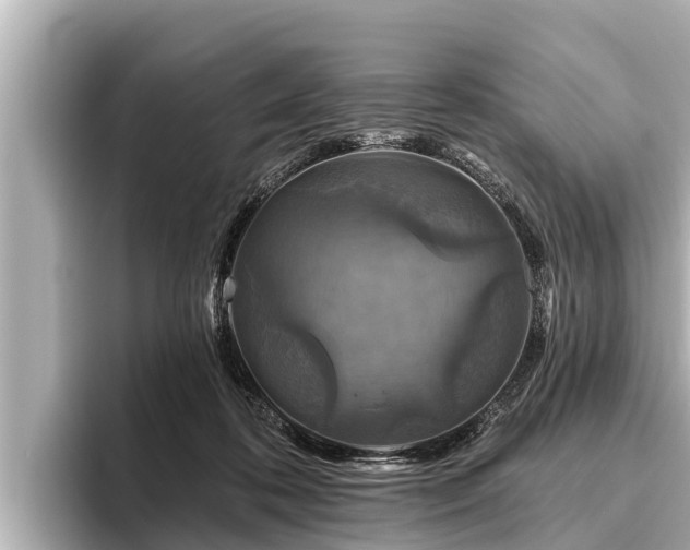 X0000096410316200801311357
