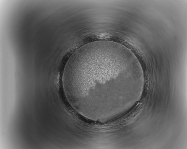 X0000096410319200801311357