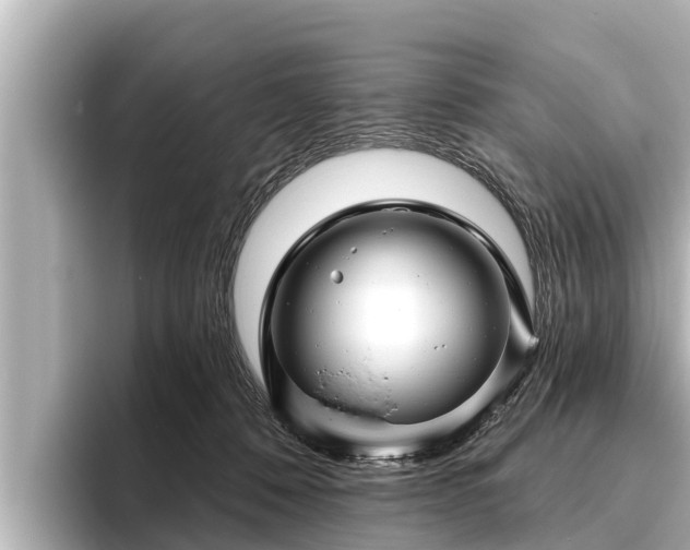 X0000096410320200801311357