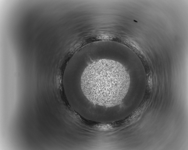 X0000096410322200801311357