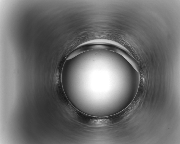 X0000096410323200801311357