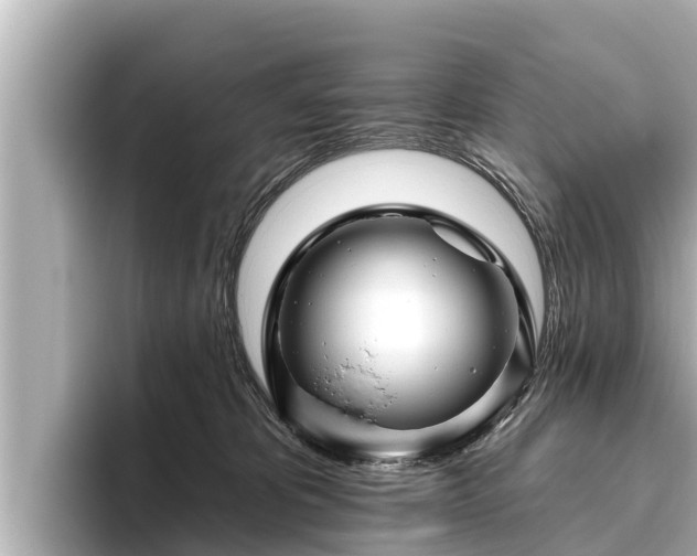 X0000096410325200801311357