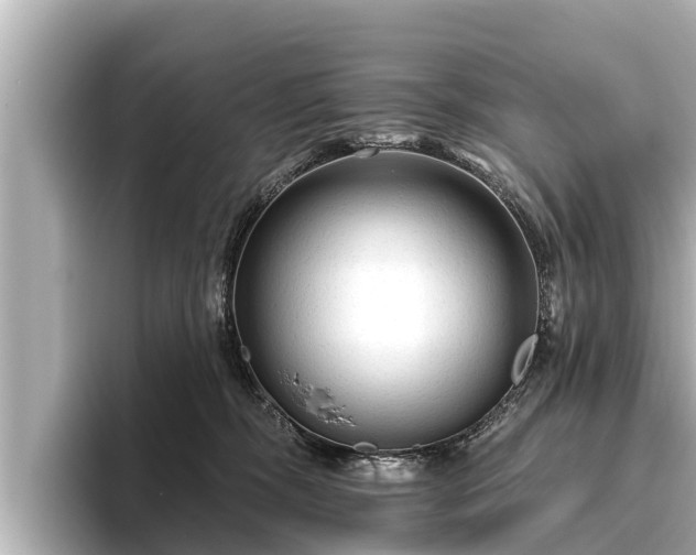 X0000096410326200801311357