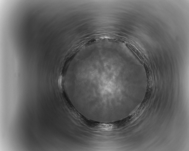 X0000096410328200801311357