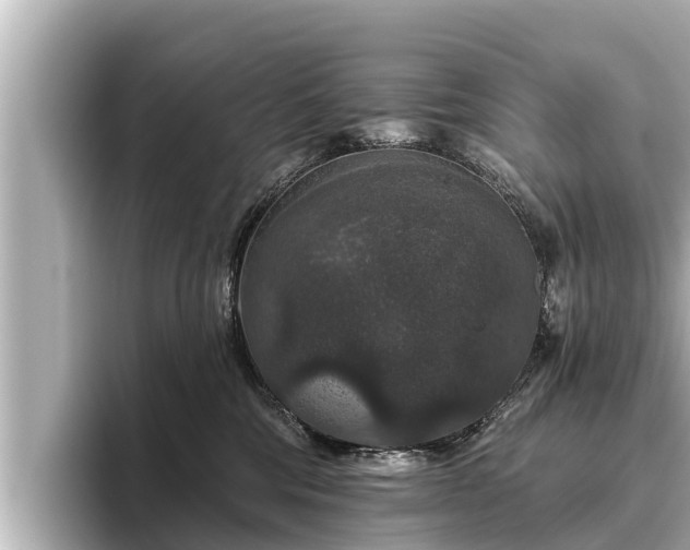 X0000096410330200801311357