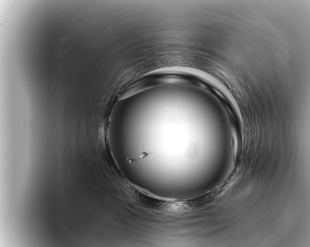 X0000096410333200801311357