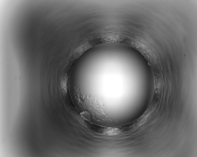 X0000096410334200801311357
