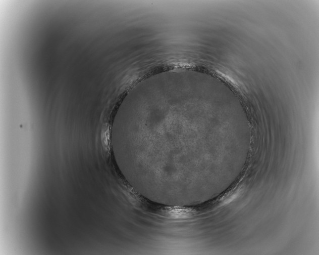 X0000096410336200801311357