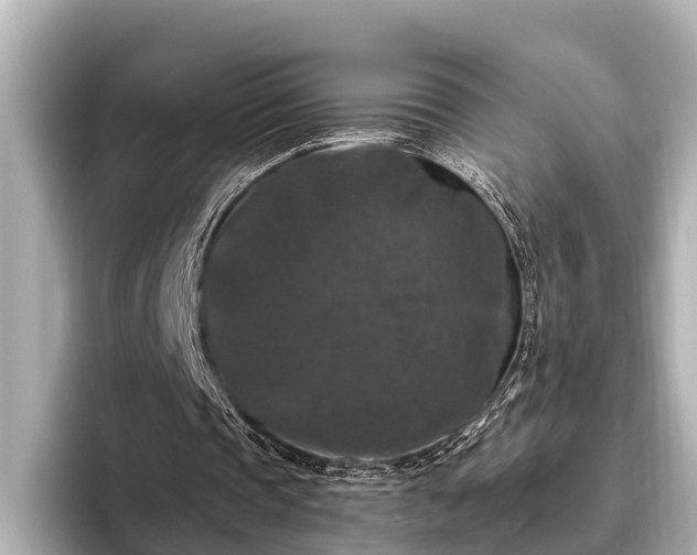 X0000096410337200801311356