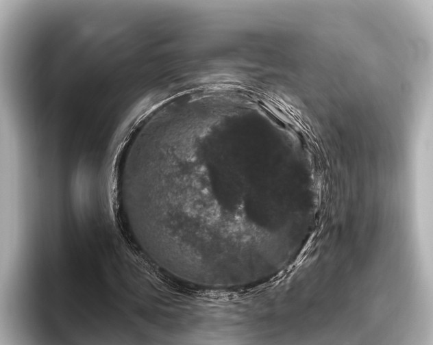 X0000096410339200801311357