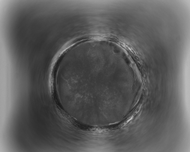 X0000096410343200801311357