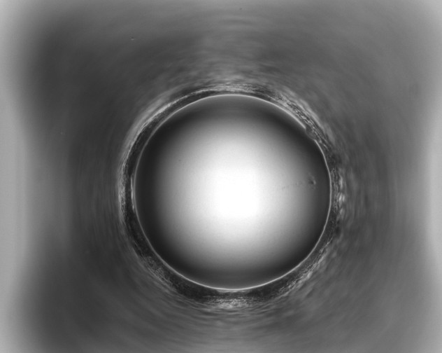 X0000096410344200801311357