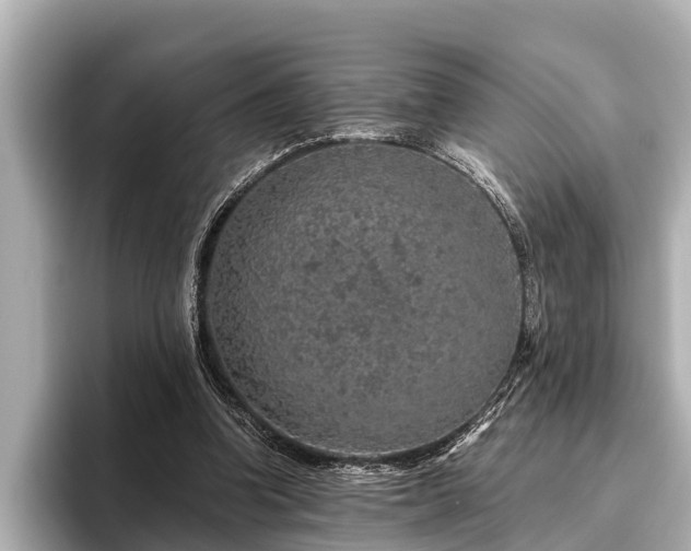 X0000096410346200801311357