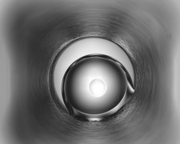 X0000096410348200801311357