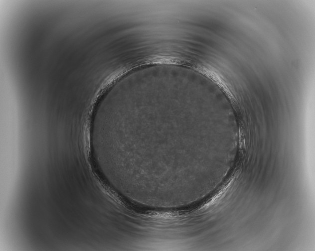 X0000096410349200801311357