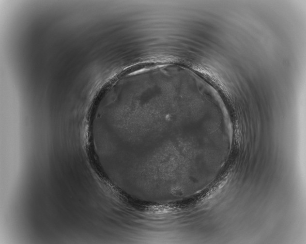 X0000096410351200801311357