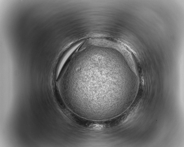 X0000096410352200801311357