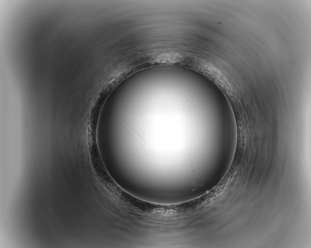 X0000096410354200801311357