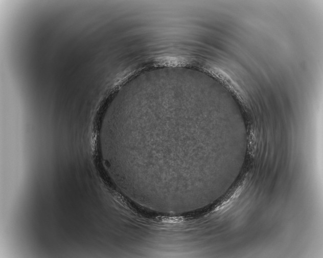 X0000096410355200801311357