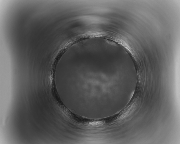 X0000096410357200801311357