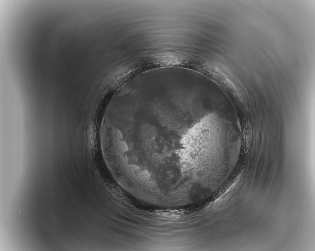 X0000096410359200801311357