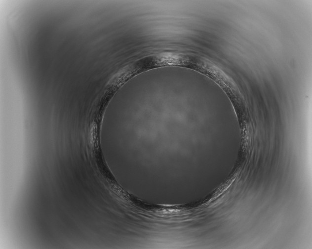 X0000096410361200801311357
